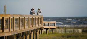 port arthur outdoor activities sea rim state park